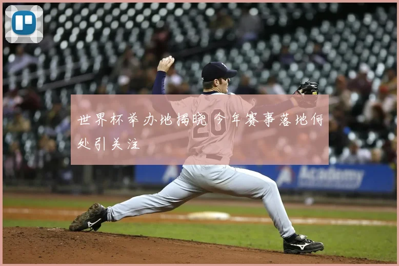世界杯举办地揭晓 今年赛事落地何处引关注